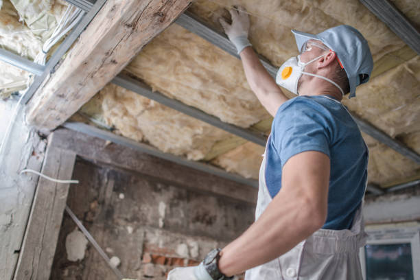 Best Insulation Materials and Products in Oakville, MO