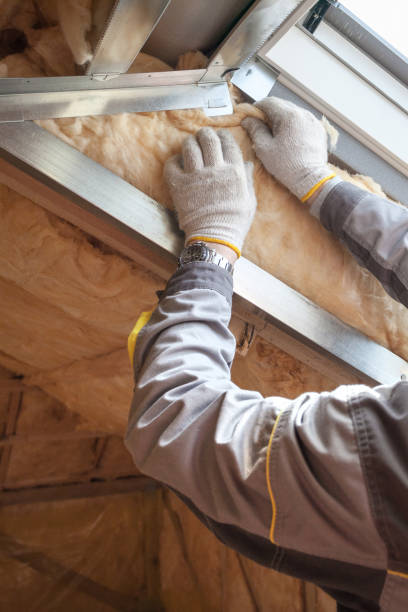 Best Residential Insulation in Oakville, MO