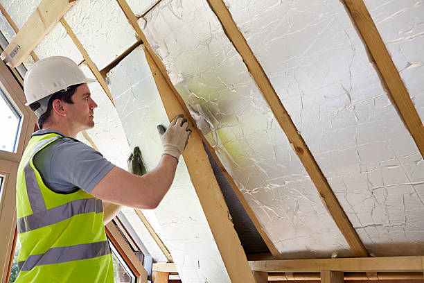 Best Commercial Insulation in Oakville, MO